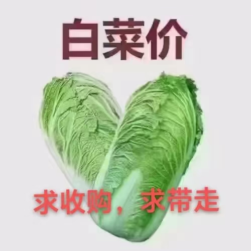 @@@出租山語(yǔ)綠城門(mén)市