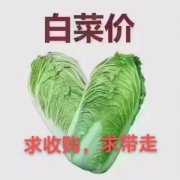 @@@29.8萬，永安街西，澆筑樓，貼地3樓